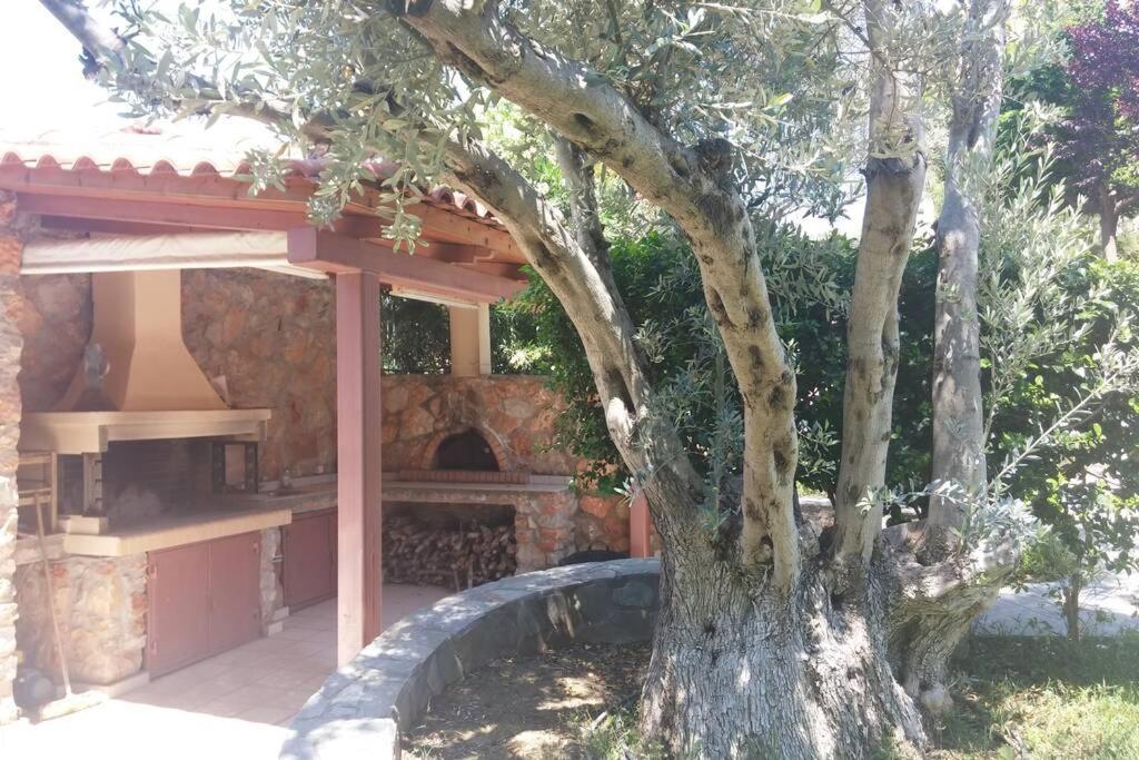 Seaside Villa Andronikos Amarynthos Esterno foto