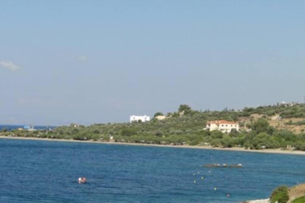 Seaside Villa Andronikos Amarynthos Esterno foto
