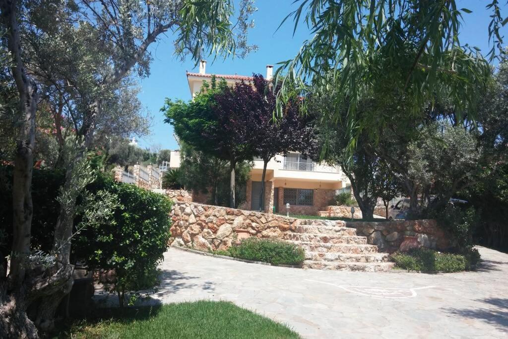 Seaside Villa Andronikos Amarynthos Esterno foto