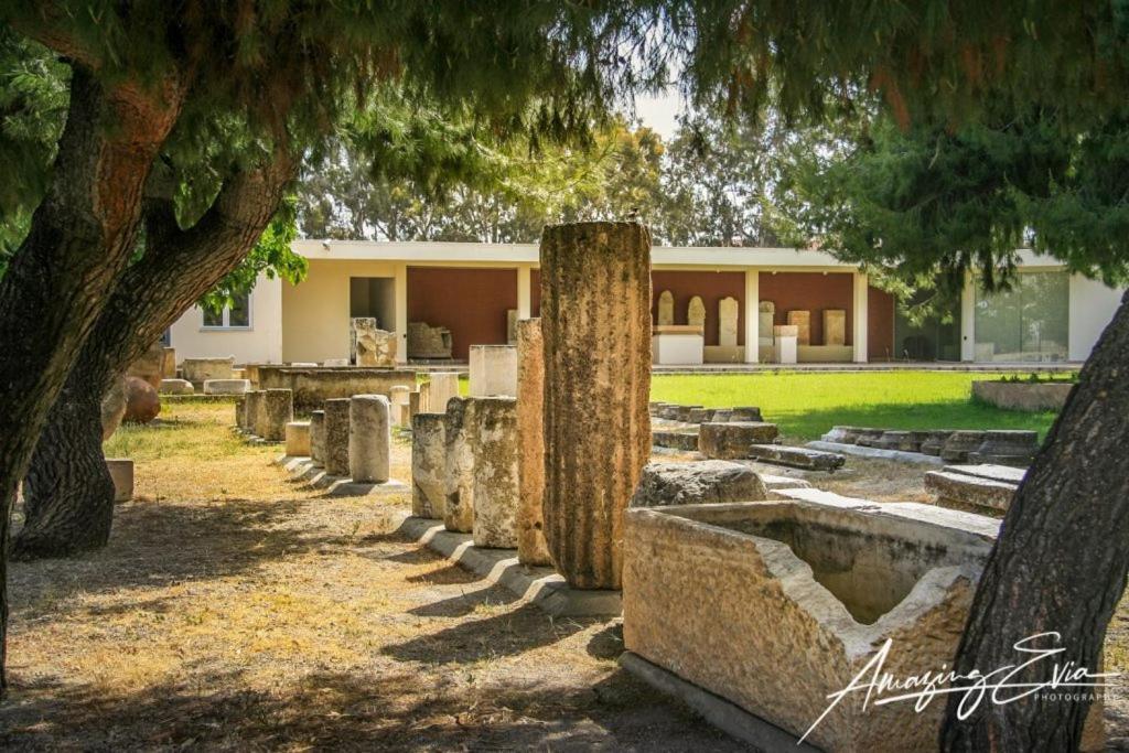Seaside Villa Andronikos Amarynthos Esterno foto